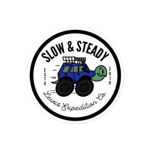 Slowski the Disco Turtle - Blue